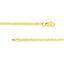 Gold chain necklace on a white background