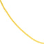 Gold chain on a white background
