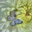 Butterfly-shaped jewelry on a light green flower