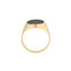 Gold ring with a black stone on a white background