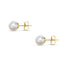 Pearl Studs