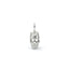 Silver skull pendant on a white background