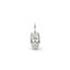 Silver skull pendant on a white background