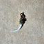 A pendant with rattle a real rattle snake fang with an emerald top set in solid yellow gold. 